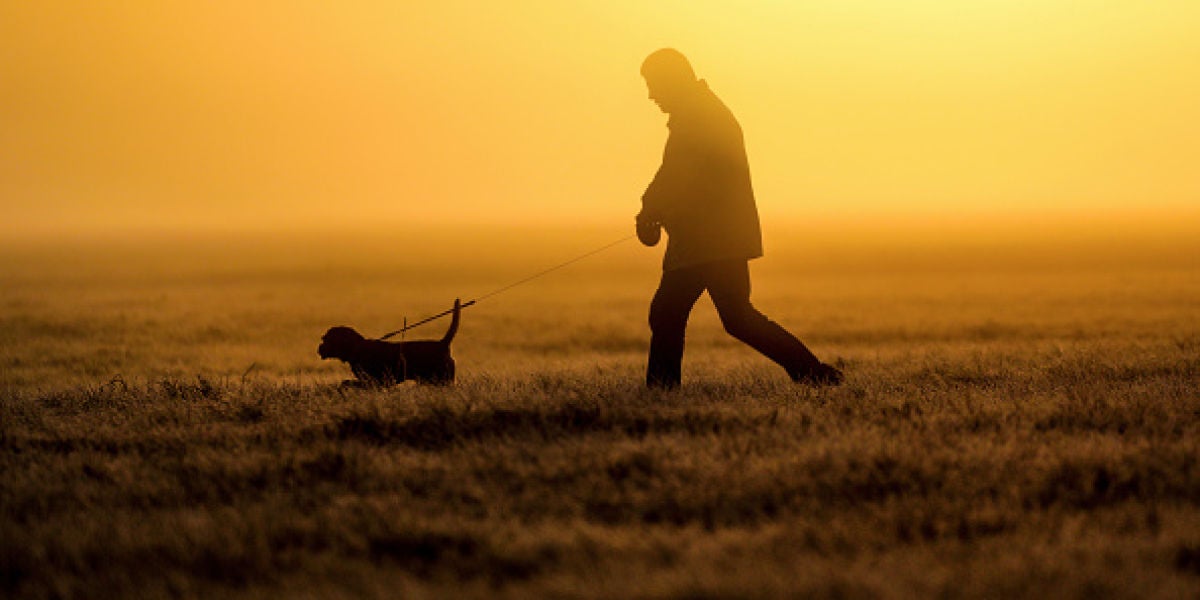 Perro y su dueño