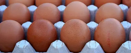 Caja de huevos Caja de huevos
