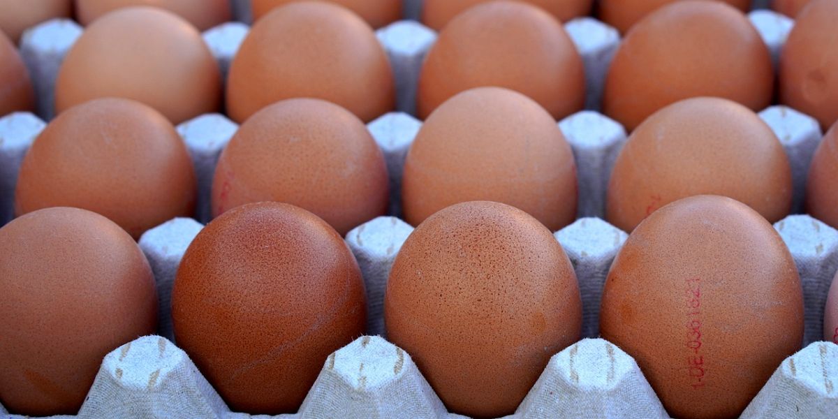 Caja de huevos