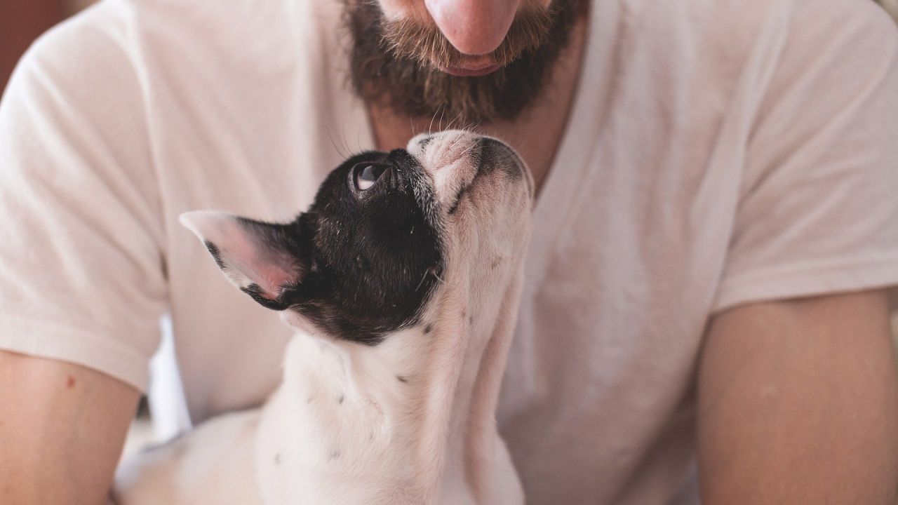 Un hombre con un perro Un hombre con un perro