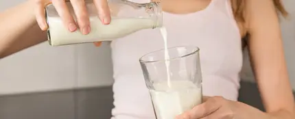 Leche Leche