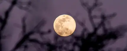 Superluna de las flores: ¿Por qué hoy la luna es tres veces más especial? Superluna de las flores: ¿Por qué hoy la luna es tres veces más especial?