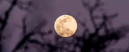 Superluna de las flores: ¿Por qué hoy la luna es tres veces más especial? Superluna de las flores: ¿Por qué hoy la luna es tres veces más especial?