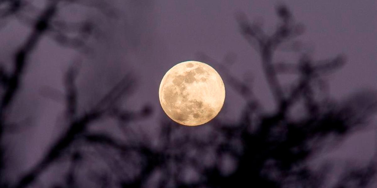 Superluna mayo 2020; Hora y cómo ver la Superluna de las flores hoy desde España