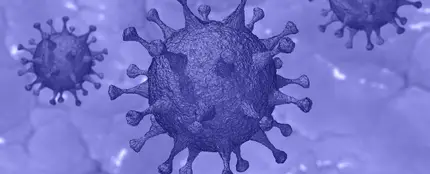 Imagen de un coronavirus Imagen de un coronavirus