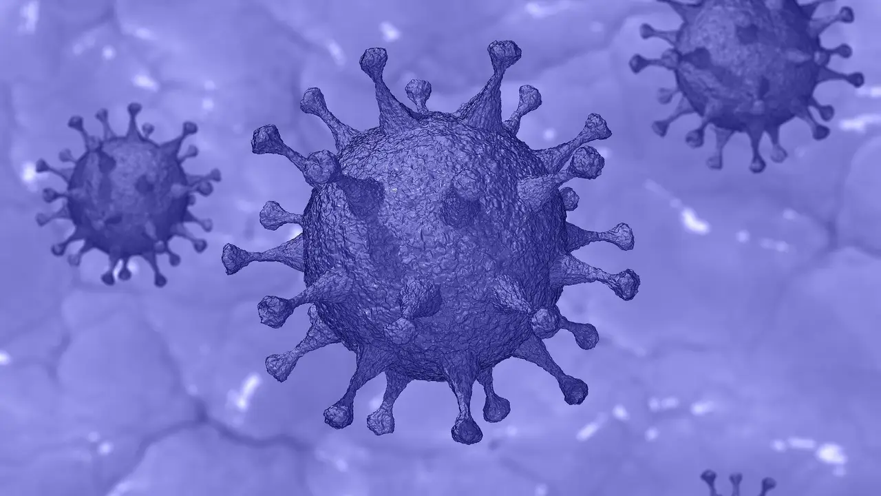 Imagen de un coronavirus Imagen de un coronavirus