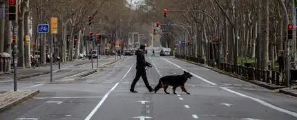 Pasear al perro durante la cuarentena Pasear al perro durante la cuarentena