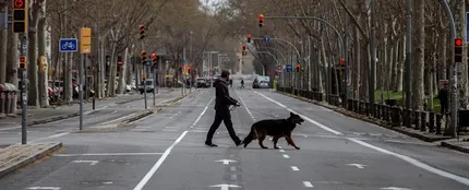 Pasear al perro durante la cuarentena Pasear al perro durante la cuarentena