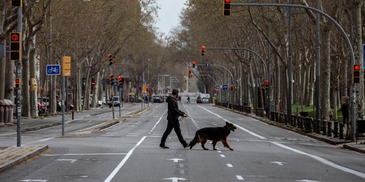 Pasear al perro durante la cuarentena