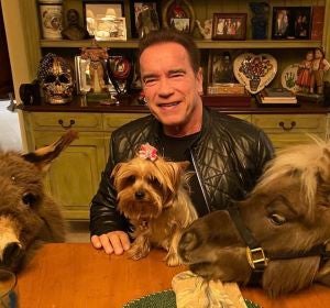 La cuarentena de Arnold Schwarzenegger: un poni, un burro y un mensaje de concienciación La cuarentena de Arnold Schwarzenegger: un poni, un burro y un mensaje de concienciación