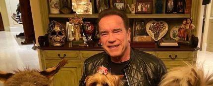 La cuarentena de Arnold Schwarzenegger: un poni, un burro y un mensaje de concienciación 