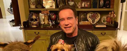La cuarentena de Arnold Schwarzenegger: un poni, un burro y un mensaje de concienciación La cuarentena de Arnold Schwarzenegger: un poni, un burro y un mensaje de concienciación