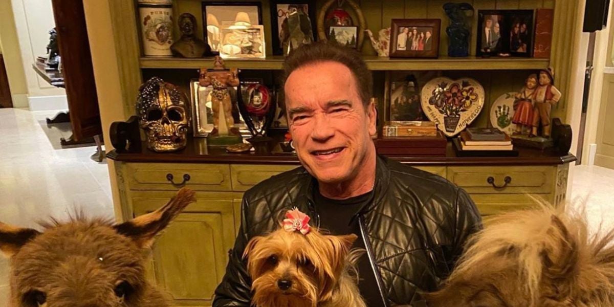 La cuarentena de Arnold Schwarzenegger: un poni, un burro y un mensaje de concienciación