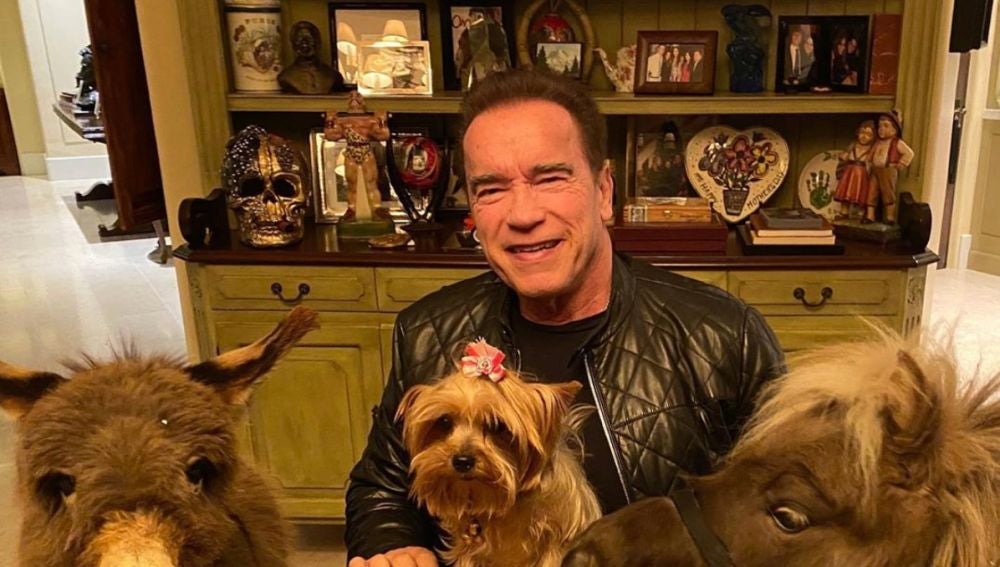 La cuarentena de Arnold Schwarzenegger: un poni, un burro y un mensaje de concienciación 