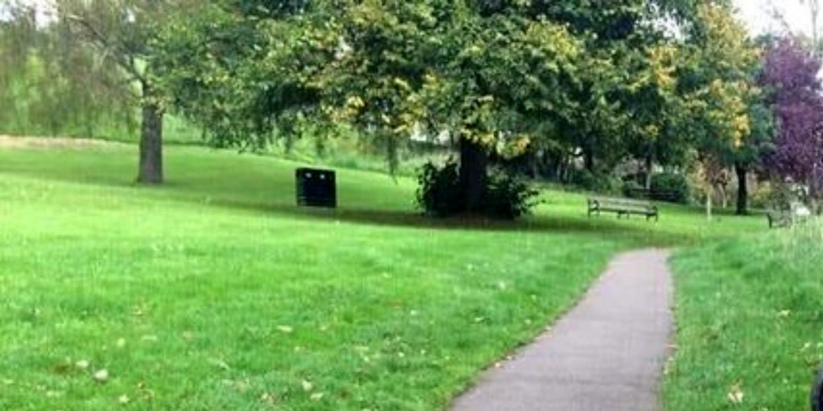 Perro escondido en una foto de un parque