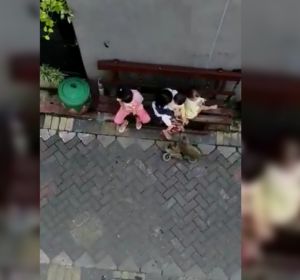 Imagen de un mono secuestrando a una niña en Indonesia Imagen de un mono secuestrando a una niña en Indonesia