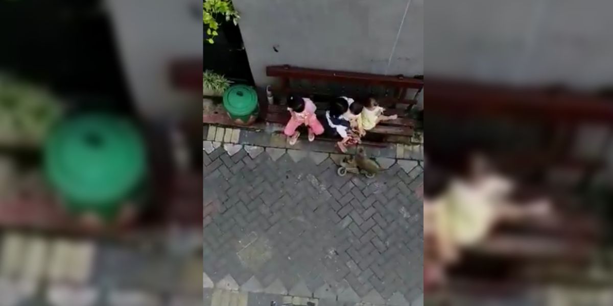 Imagen de un mono secuestrando a una niña en Indonesia