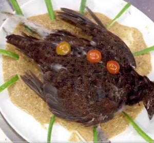 'Pájaro muerto en lo alto de un plato', la polémica propuesta de Saray de Masterchef 'Pájaro muerto en lo alto de un plato', la polémica propuesta de Saray de Masterchef
