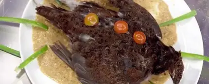 'Pájaro muerto en lo alto de un plato', la polémica propuesta de Saray de Masterchef 'Pájaro muerto en lo alto de un plato', la polémica propuesta de Saray de Masterchef