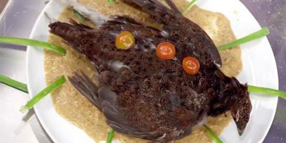 'Pájaro muerto en lo alto de un plato', la polémica propuesta de Saray de Masterchef