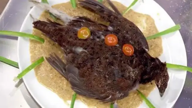 'Pájaro muerto en lo alto de un plato', la polémica propuesta de Saray de Masterchef