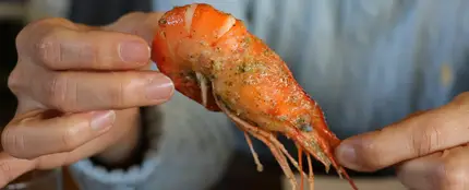 Imagen de una gamba Imagen de una gamba
