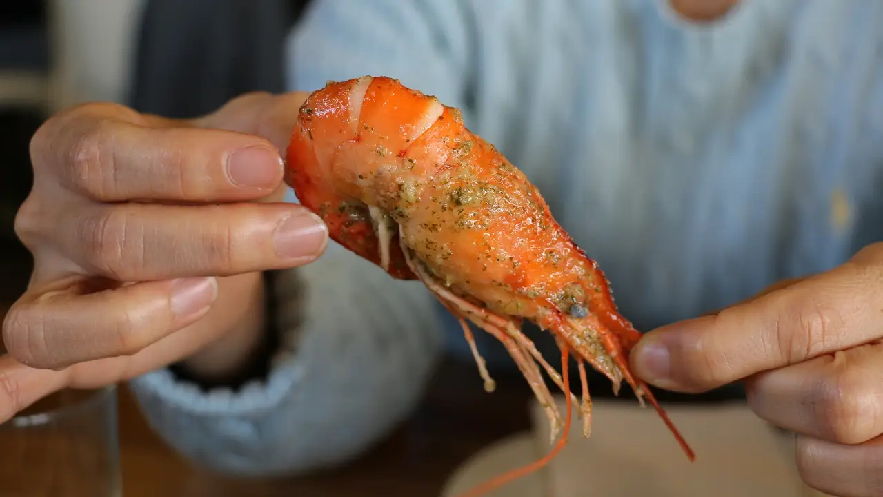 Imagen de una gamba Imagen de una gamba