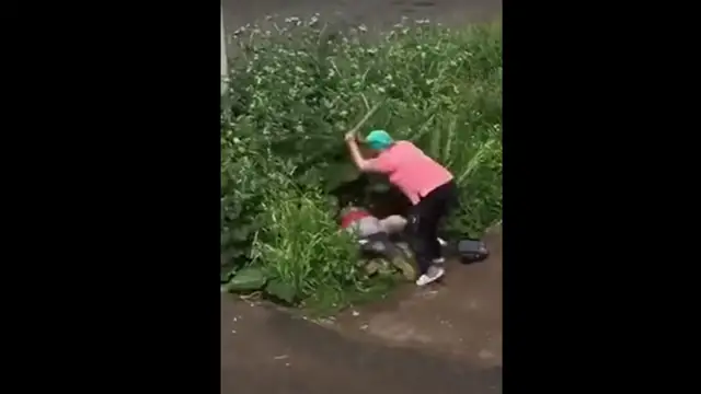 Una mujer golpea violentamente a una pareja que practica sexo en un arbusto