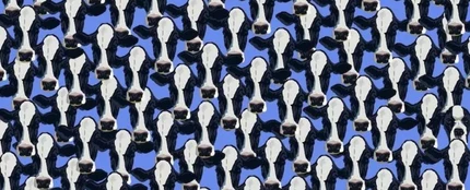 Reto Visual: ¿Eres capaz de encontrar a los perros que se ocultan entre las vacas? Reto Visual: ¿Eres capaz de encontrar a los perros que se ocultan entre las vacas?