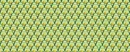 El reto visual de los aguacates El reto visual de los aguacates