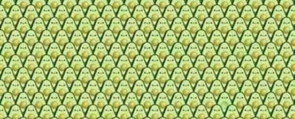El reto visual de los aguacates El reto visual de los aguacates