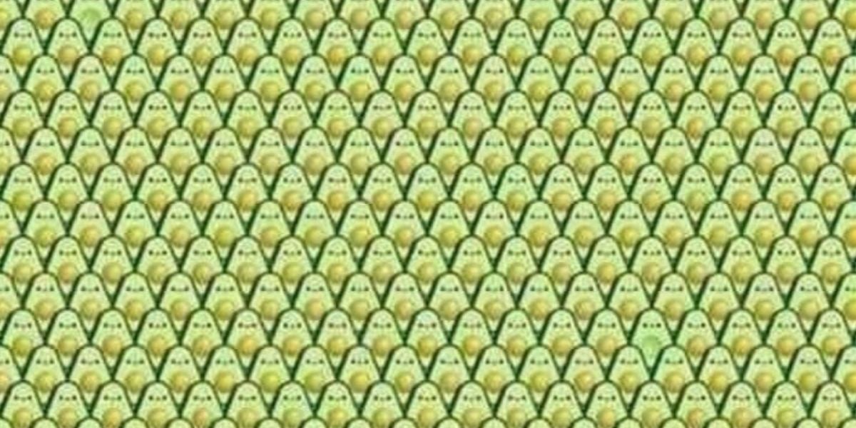 El reto visual de los aguacates