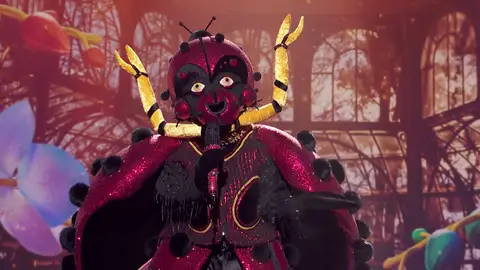 La Mariquita rompe el plató de ‘Mask Singer’ con ‘Someone like you’ de Adele La Mariquita rompe el plató de ‘Mask Singer’ con ‘Someone like you’ de Adele