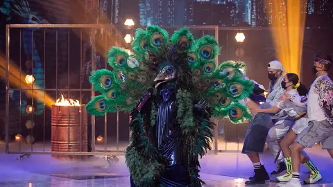 El Pavo Real muestra toda su fuerza con ‘What about us’ de P!nk El Pavo Real muestra toda su fuerza con ‘What about us’ de P!nk