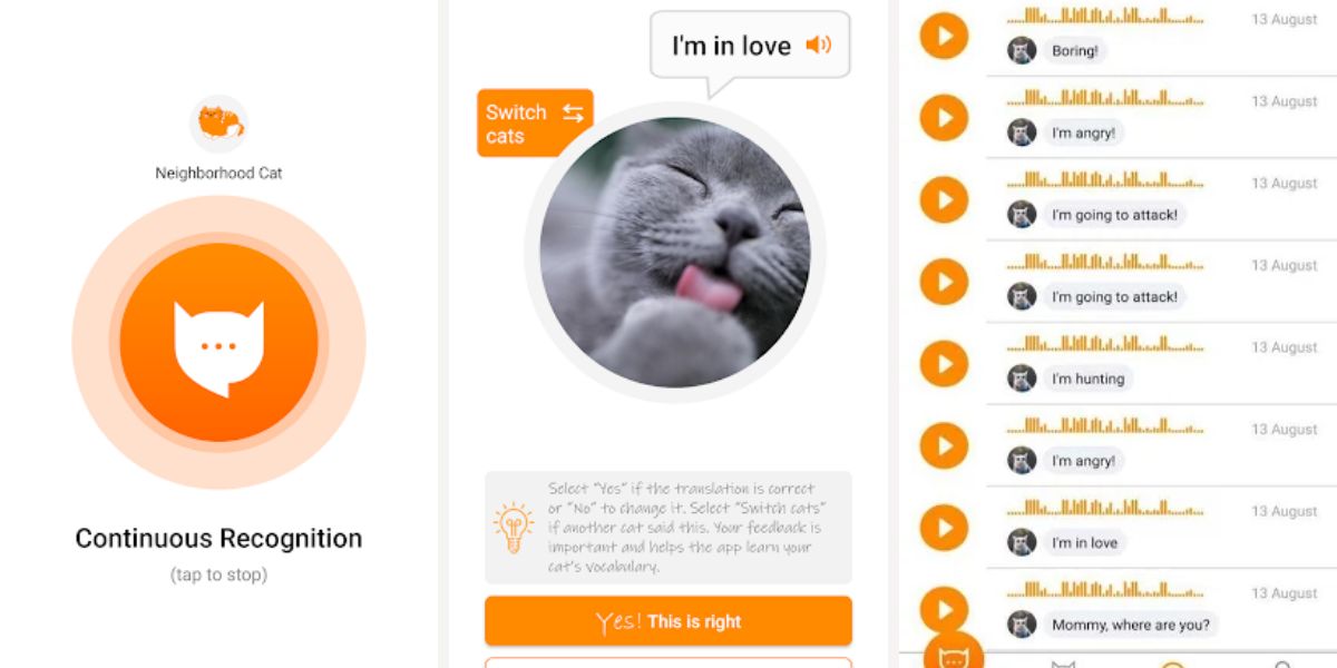 MeowTalk, la app que traduce maullidos