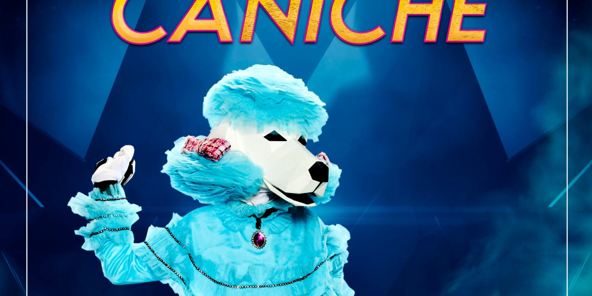 Caniche de 'Mask singer: adivina quién canta'