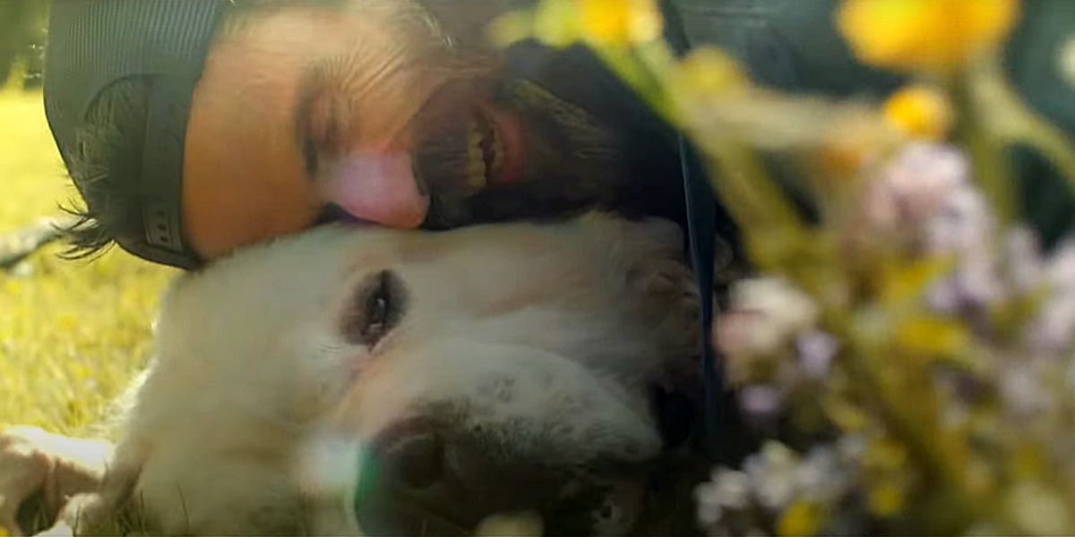Pau Donés y su perro Fideos en 'Misteriosamente hoy'