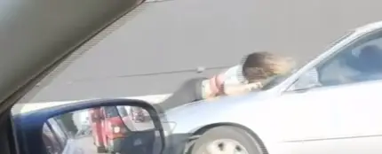 Se lanza sobre un coche en marcha para salvar a un perro al que estaban secuestrando Se lanza sobre un coche en marcha para salvar a un perro al que estaban secuestrando