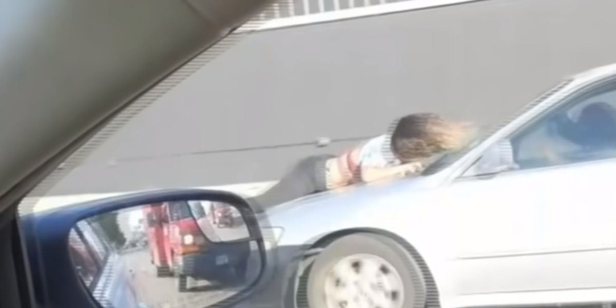 Se lanza sobre un coche en marcha para salvar a un perro al que estaban secuestrando