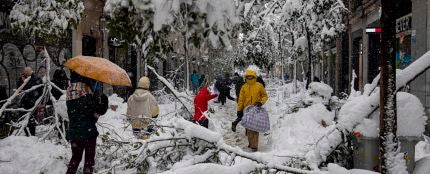 Varias personas pasean por la calle Fuencarral entre numerosos árboles caídos