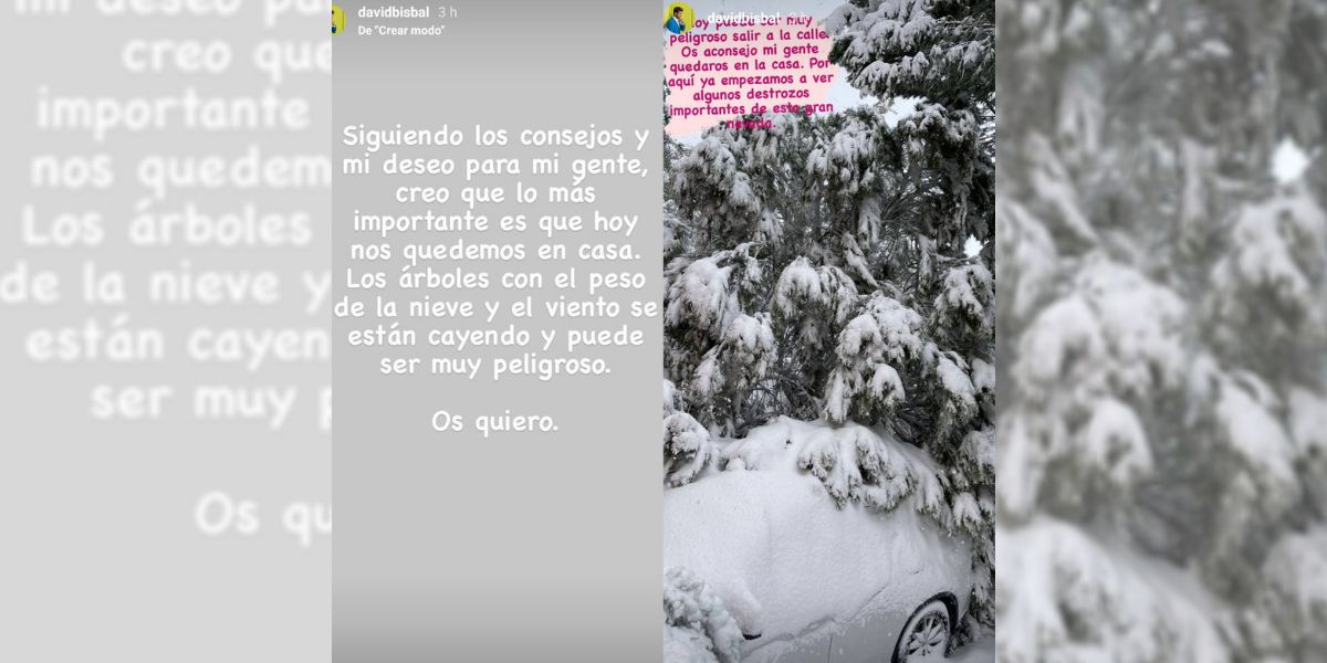 Un árbol cae sobre el coche de David Bisbal por el temporal Filomena