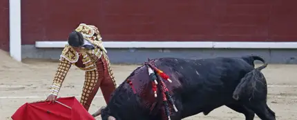 Miguel Ángel Perera en una corrida en 2017 Miguel Ángel Perera en una corrida en 2017