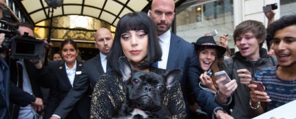 Lady Gaga con su perro en brazos Lady Gaga con su perro en brazos Lady Gaga con su perro en brazos Lady Gaga con su perro en brazos Lady Gaga con su perro en brazos
