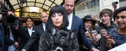 Lady Gaga con su perro en brazos Lady Gaga con su perro en brazos Lady Gaga con su perro en brazos Lady Gaga con su perro en brazos Lady Gaga con su perro en brazos Lady Gaga con su perro en brazos Lady Gaga con su perro en brazos Lady Gaga con su perro en brazos Lady Gaga con su perro en brazos Lady Gaga con su perro en brazos