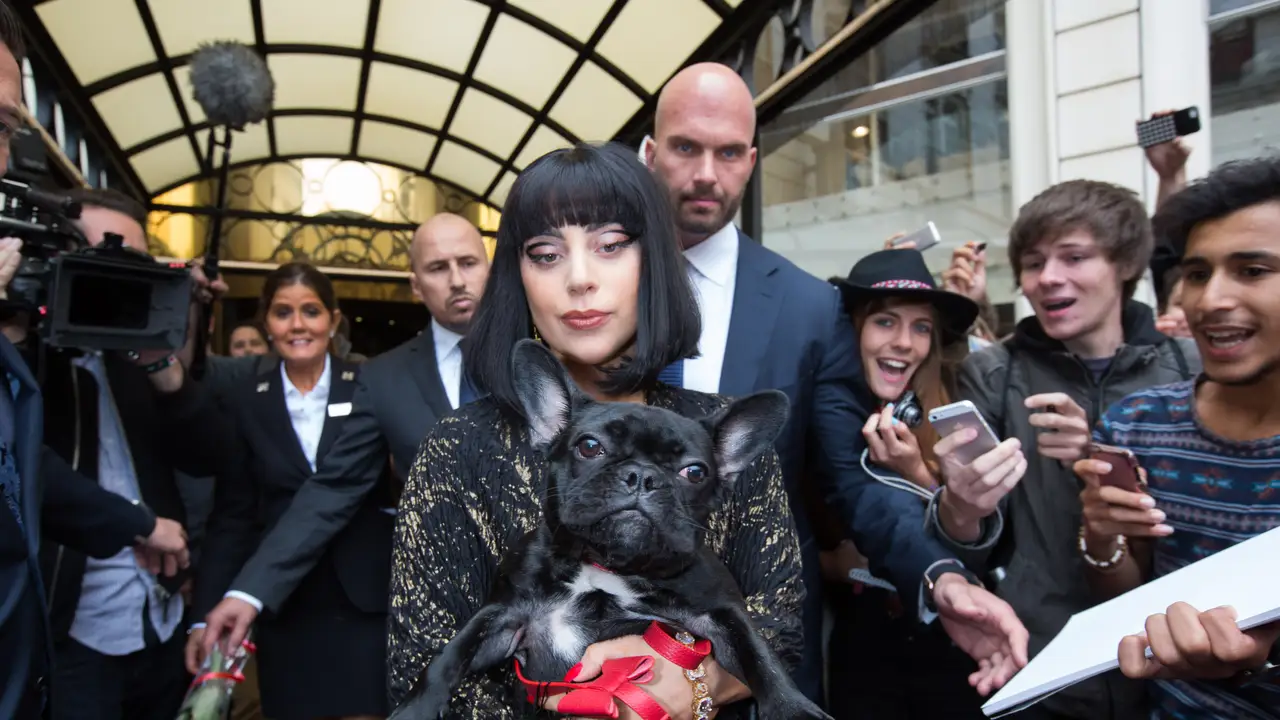 Lady Gaga con su perro en brazos Lady Gaga con su perro en brazos Lady Gaga con su perro en brazos Lady Gaga con su perro en brazos Lady Gaga con su perro en brazos Lady Gaga con su perro en brazos Lady Gaga con su perro en brazos Lady Gaga con su perro en brazos Lady Gaga con su perro en brazos Lady Gaga con su perro en brazos