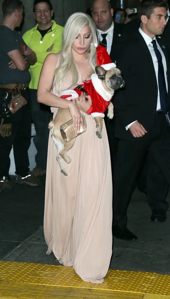 Lady Gaga con su perro Lady Gaga con su perro