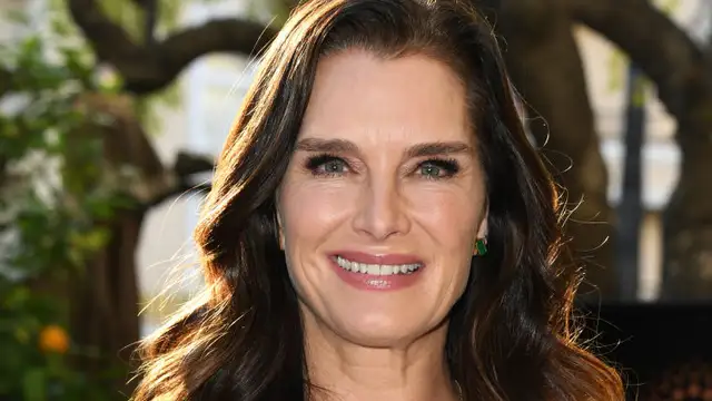 Brooke Shields: la actriz de El Lago Azul consiguió ser madre primeriza a los 41 años por partida doble