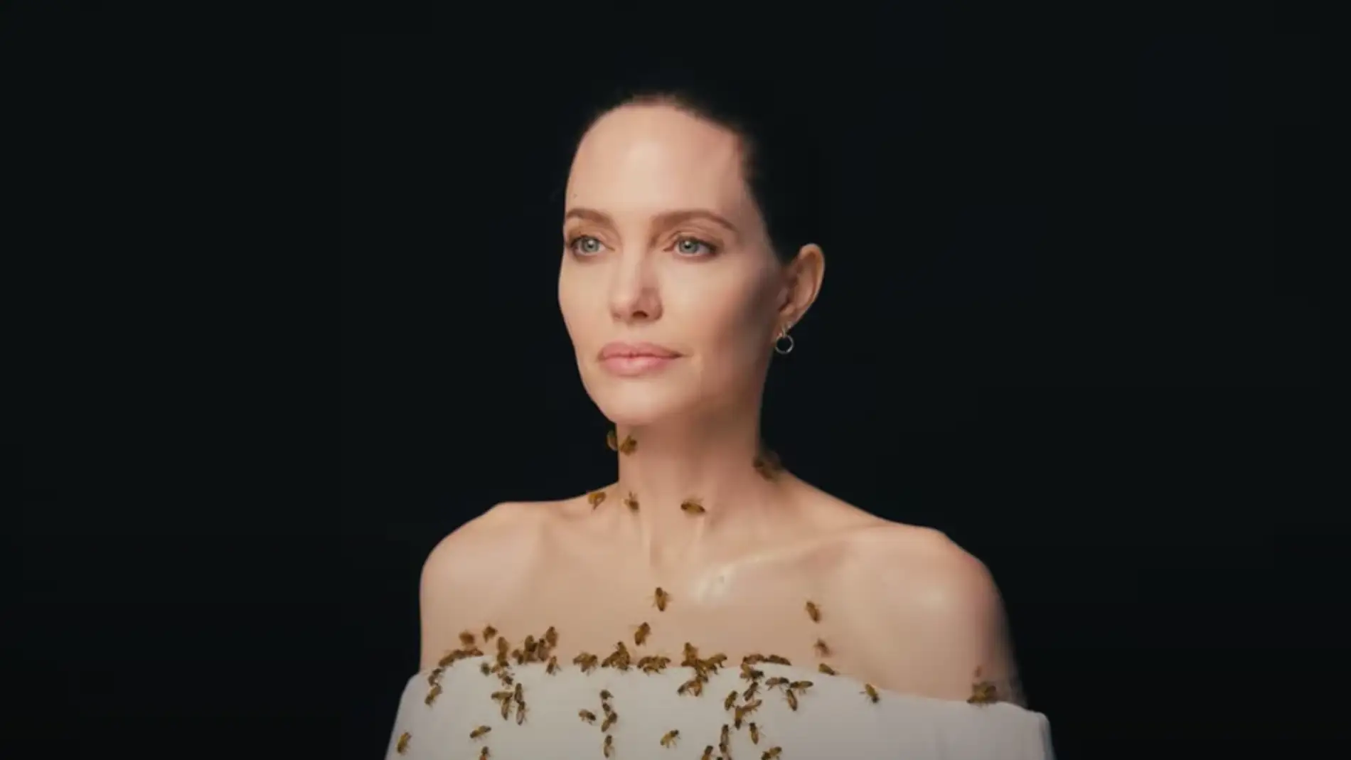 Angelina Jolie para National Geographic