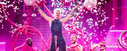 Pink, al desnudo Pink, al desnudo