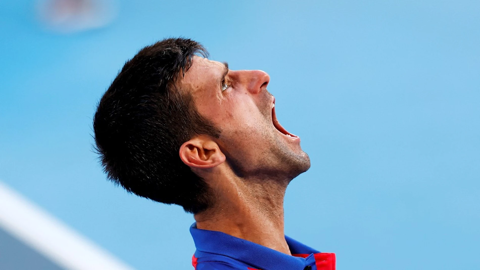 Novak Djokovic, grito a cielo